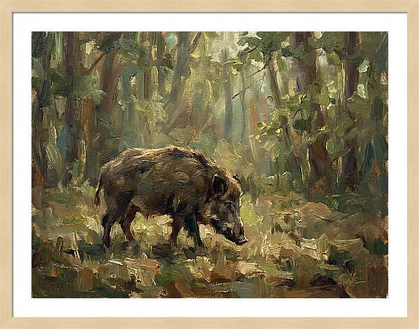 Forest Hog In Sunlit Woods