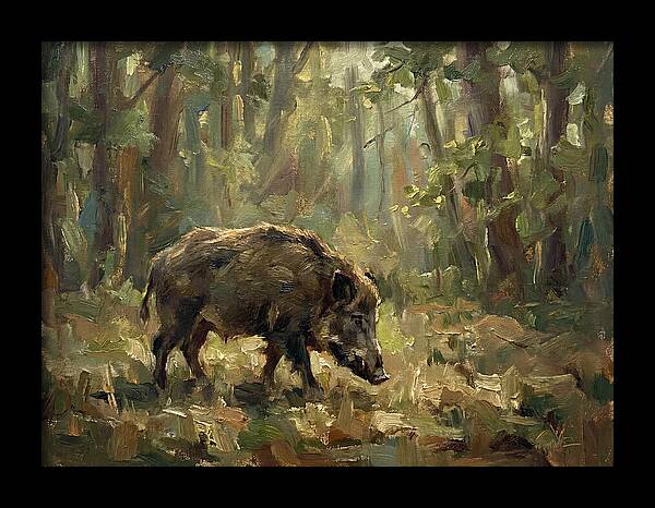 Forest Hog In Sunlit Woods