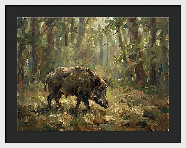 Forest Hog In Sunlit Woods