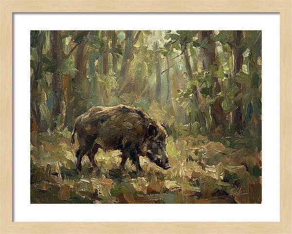 Forest Hog In Sunlit Woods