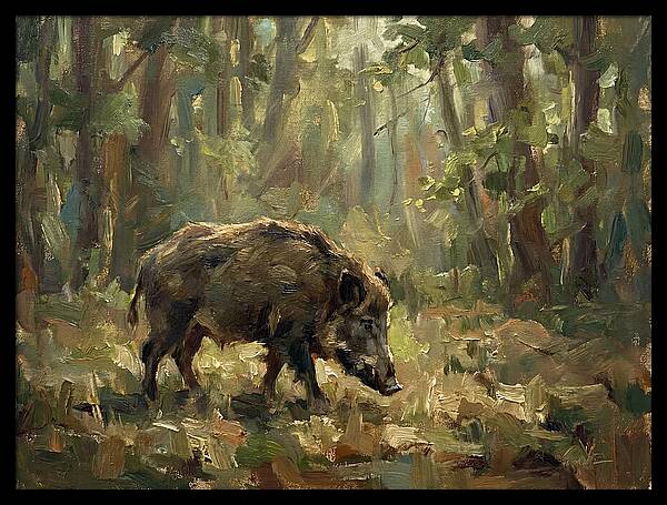 Forest Hog In Sunlit Woods
