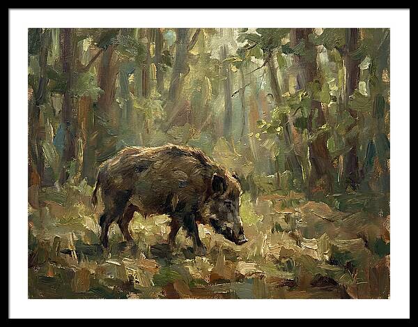 Forest Hog In Sunlit Woods