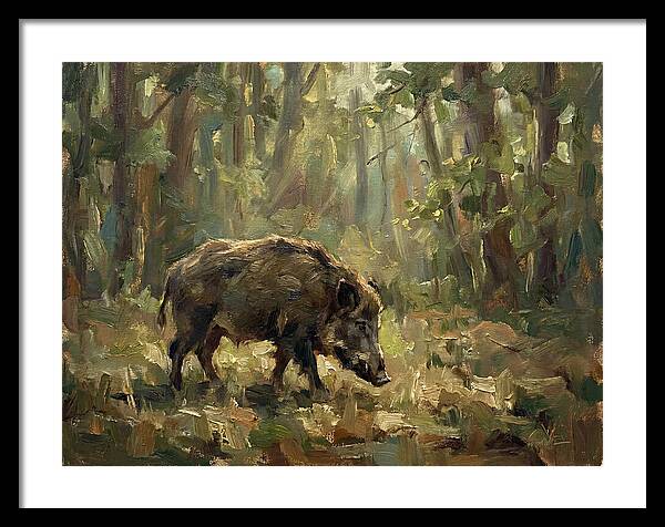 Forest Hog In Sunlit Woods