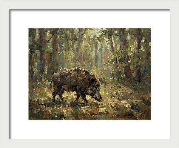 Forest Hog In Sunlit Woods