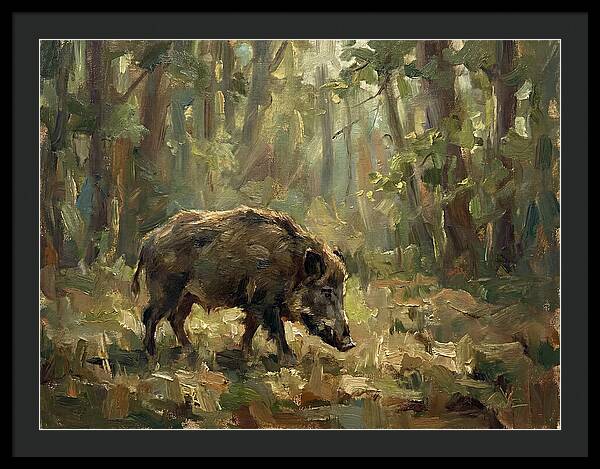 Forest Hog In Sunlit Woods