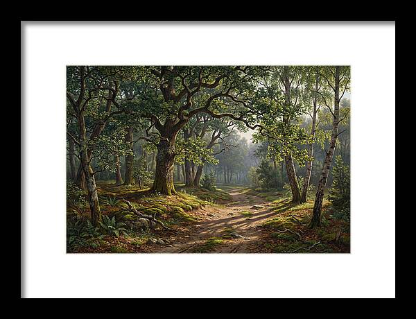 Forest Path Through Lush Greenery