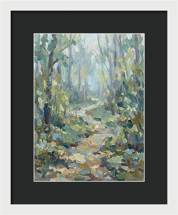 Forest Path Through Misty Trees