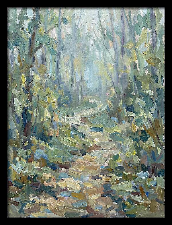 Forest Path Through Misty Trees