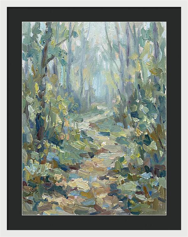 Forest Path Through Misty Trees