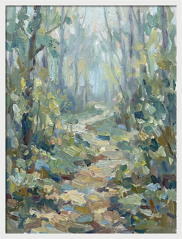 Forest Path Through Misty Trees