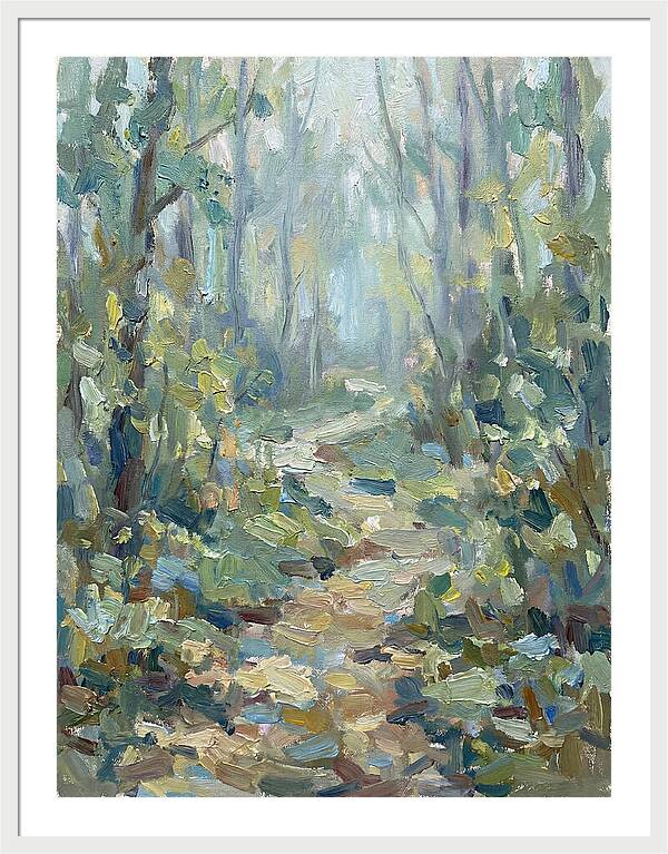 Forest Path Through Misty Trees