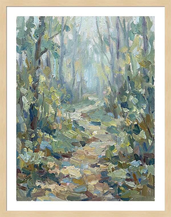 Forest Path Through Misty Trees