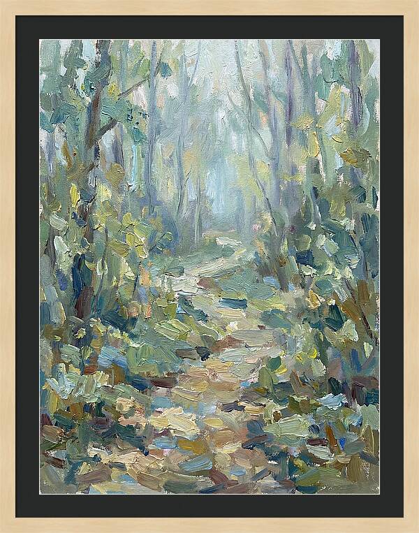 Forest Path Through Misty Trees