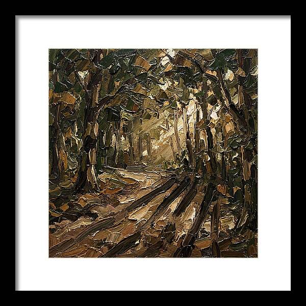 Forest Path Through Sunlit Trees