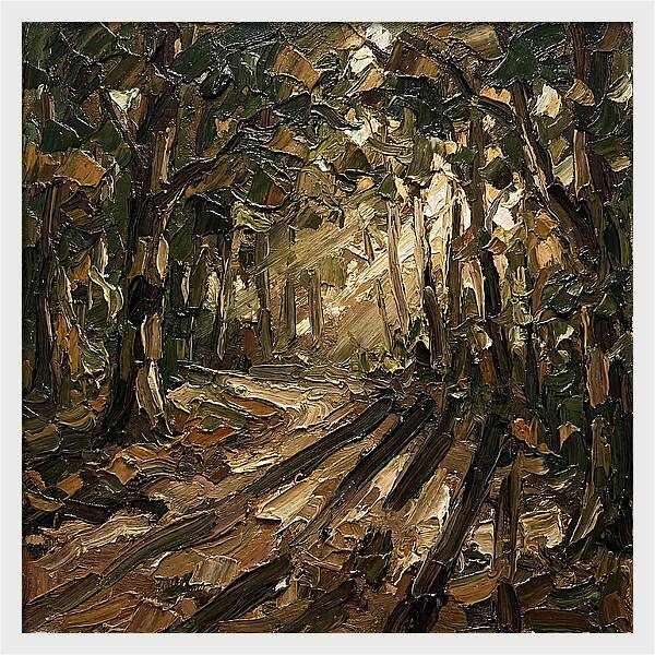 Forest Path Through Sunlit Trees