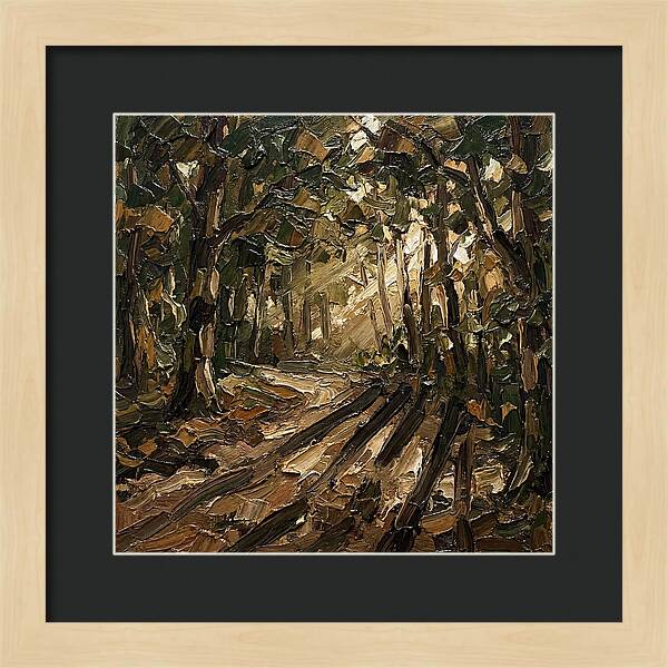 Forest Path Through Sunlit Trees