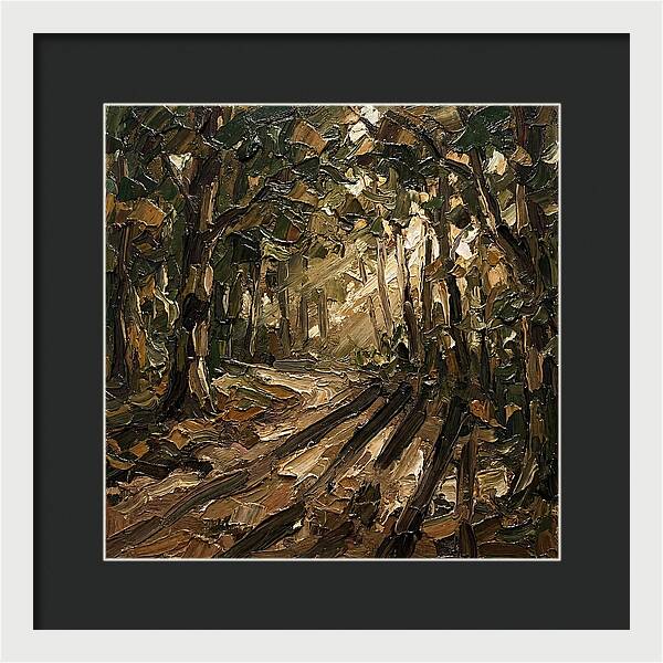 Forest Path Through Sunlit Trees