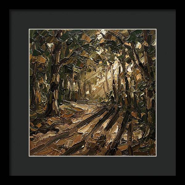 Forest Path Through Sunlit Trees