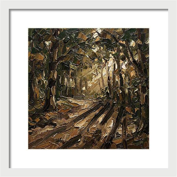 Forest Path Through Sunlit Trees