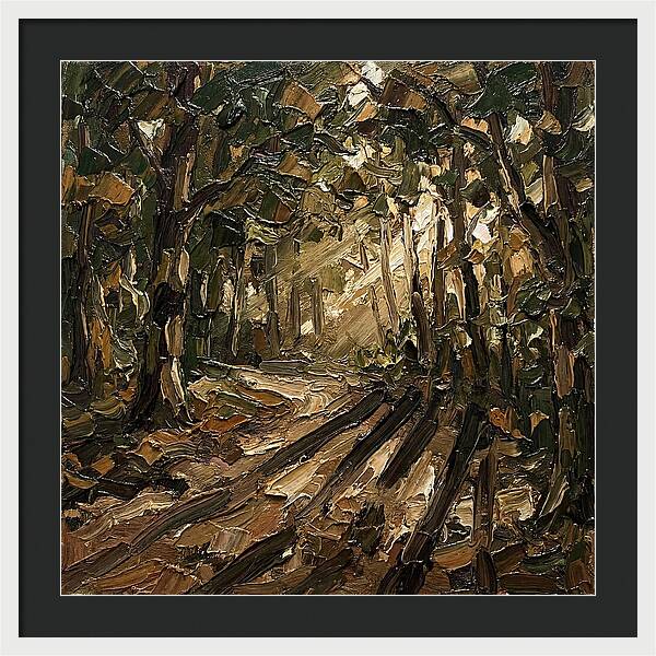 Forest Path Through Sunlit Trees