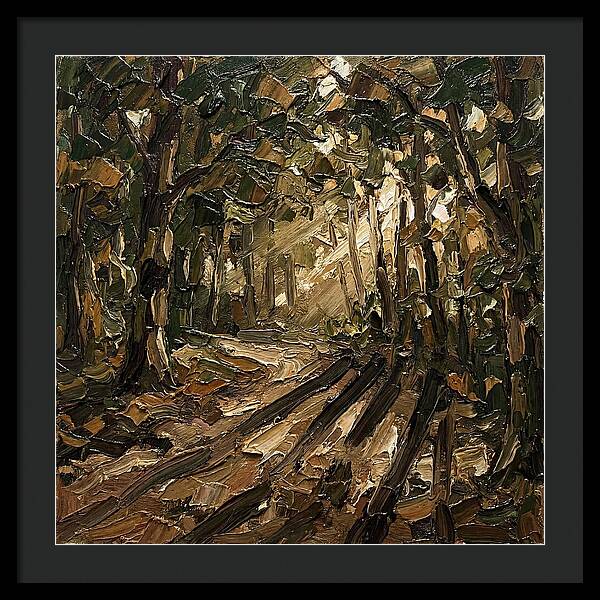 Forest Path Through Sunlit Trees