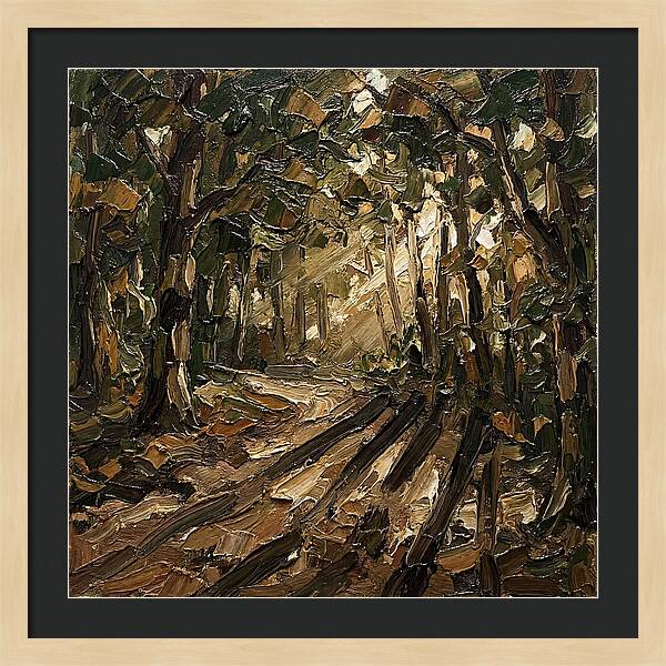 Forest Path Through Sunlit Trees