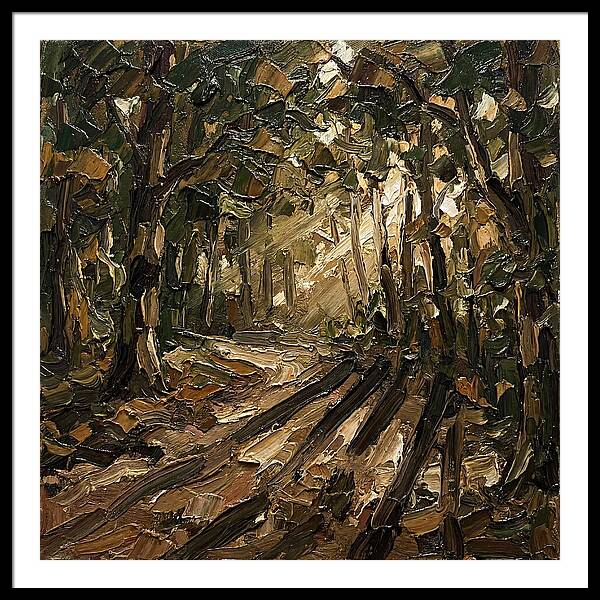 Forest Path Through Sunlit Trees