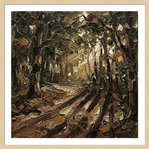 Forest Path Through Sunlit Trees