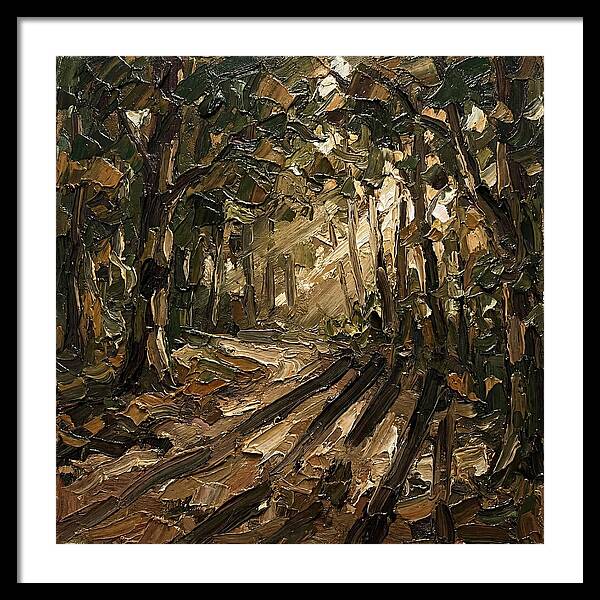 Forest Path Through Sunlit Trees