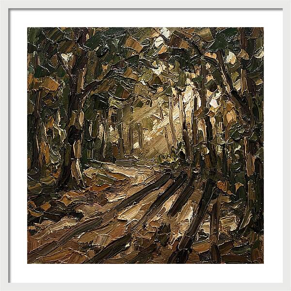 Forest Path Through Sunlit Trees