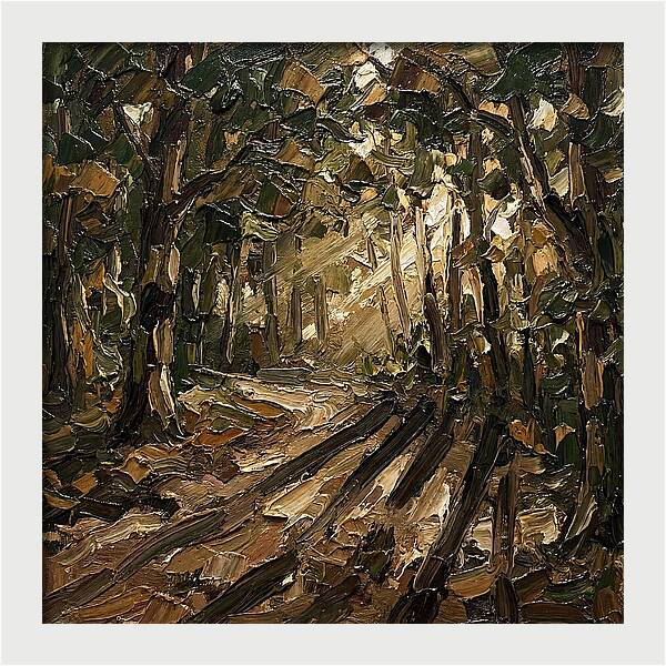 Forest Path Through Sunlit Trees
