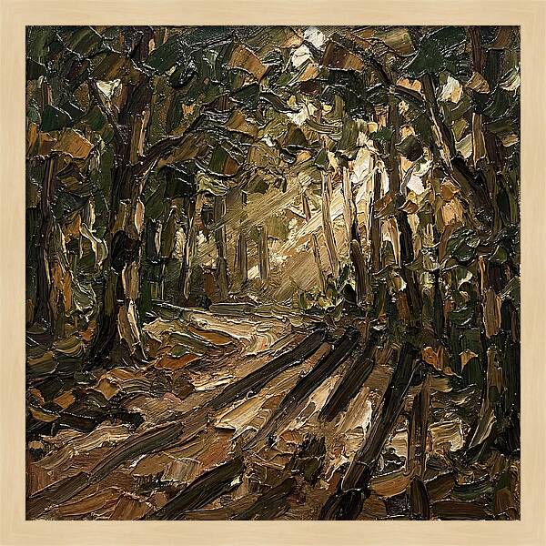 Forest Path Through Sunlit Trees
