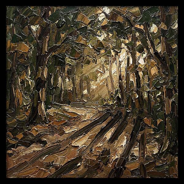 Forest Path Through Sunlit Trees