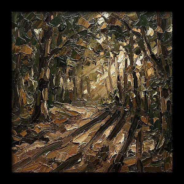 Forest Path Through Sunlit Trees