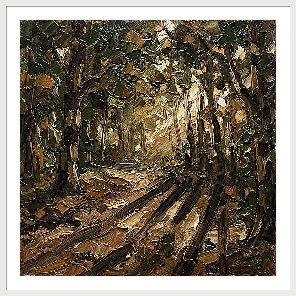 Forest Path Through Sunlit Trees