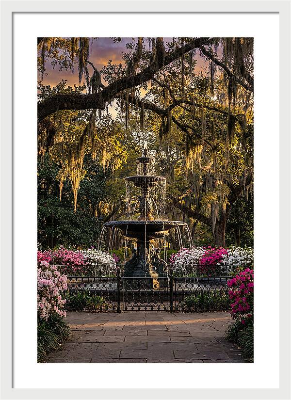 Forsyth Park Fountain At Golden Hour