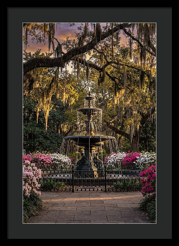 Forsyth Park Fountain At Golden Hour