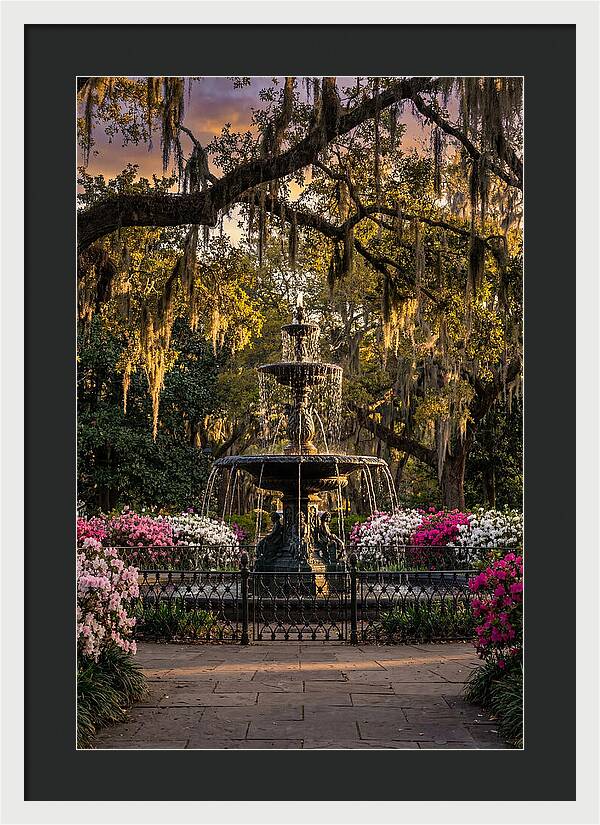 Forsyth Park Fountain At Golden Hour