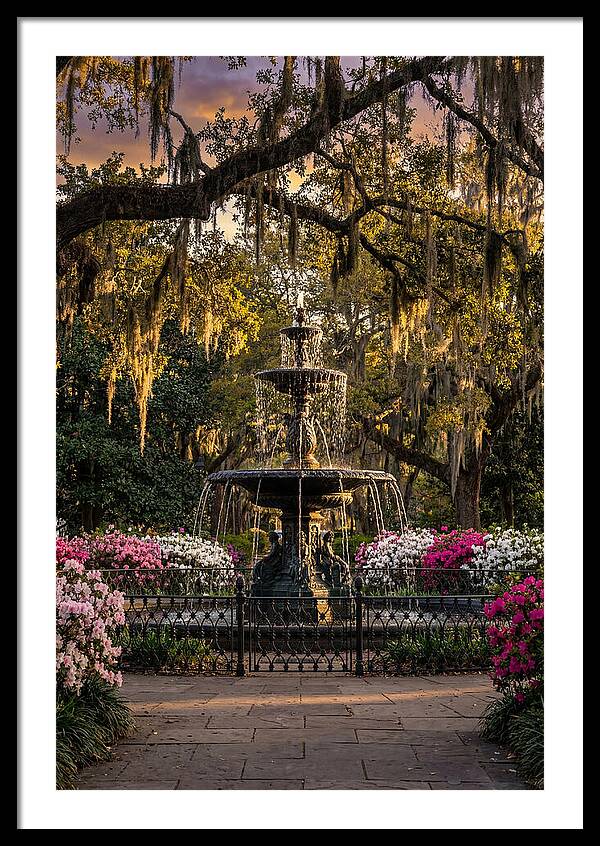 Forsyth Park Fountain At Golden Hour