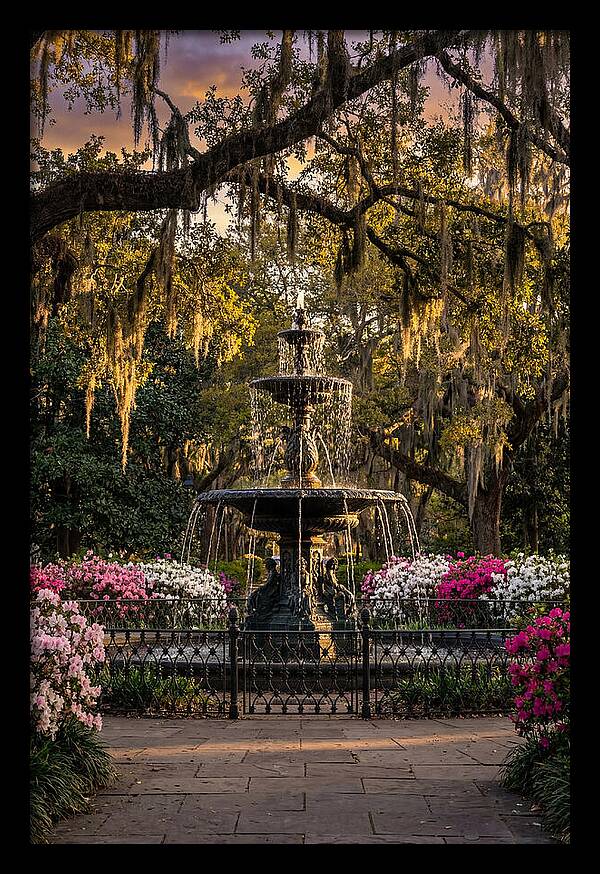 Forsyth Park Fountain At Golden Hour
