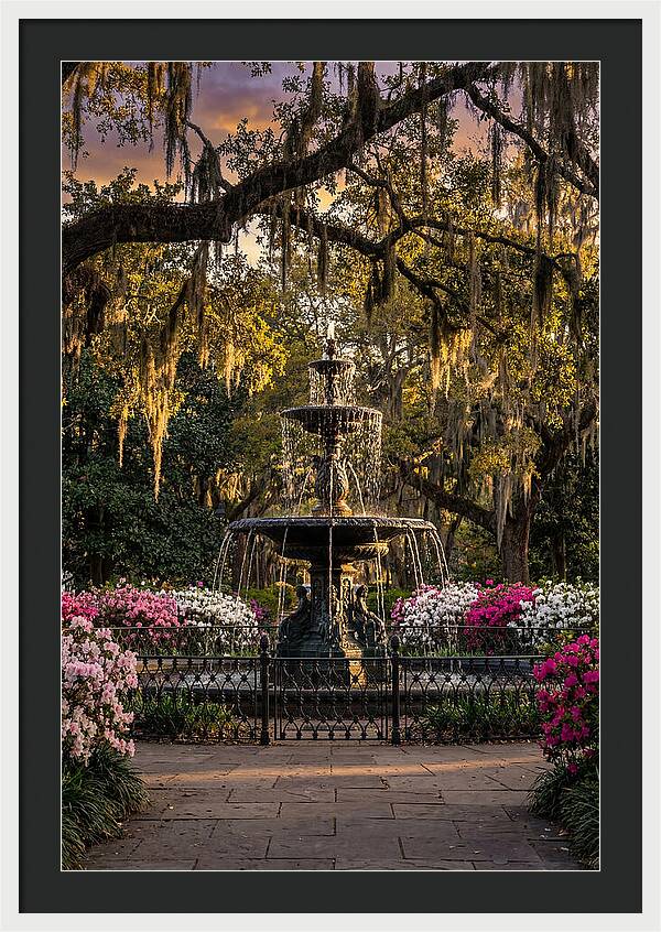 Forsyth Park Fountain At Golden Hour