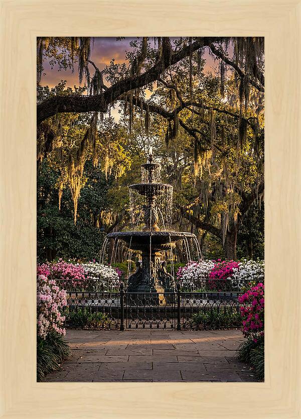 Forsyth Park Fountain At Golden Hour