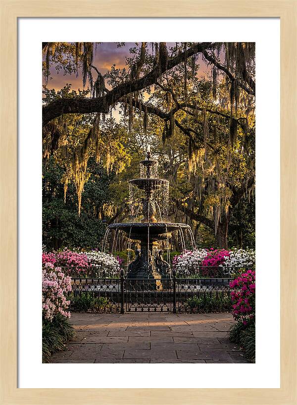Forsyth Park Fountain At Golden Hour