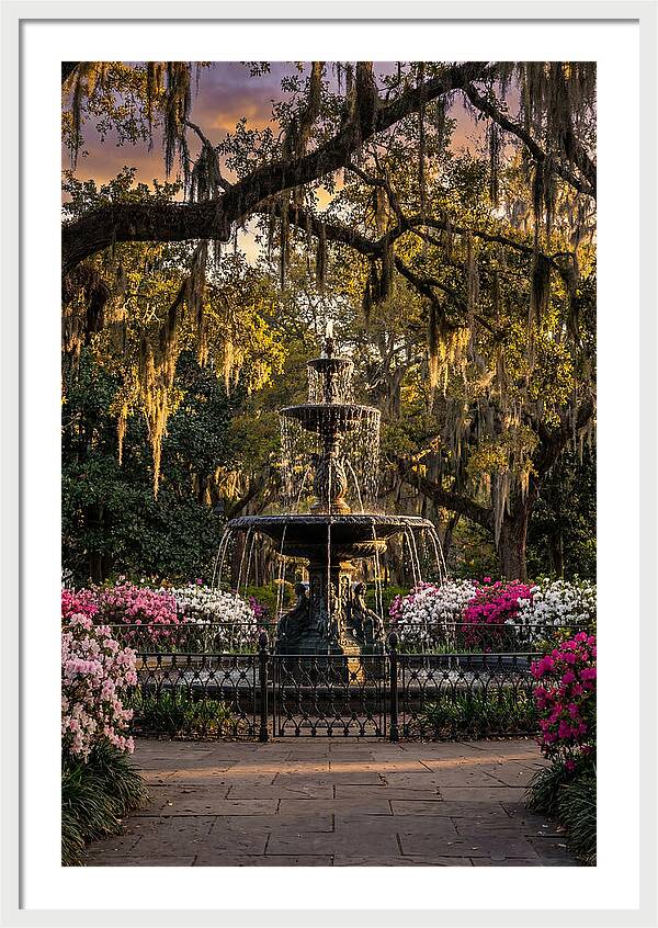 Forsyth Park Fountain At Golden Hour