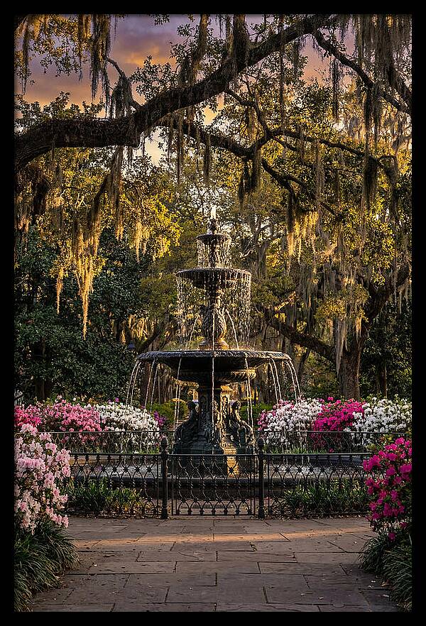 Forsyth Park Fountain At Golden Hour