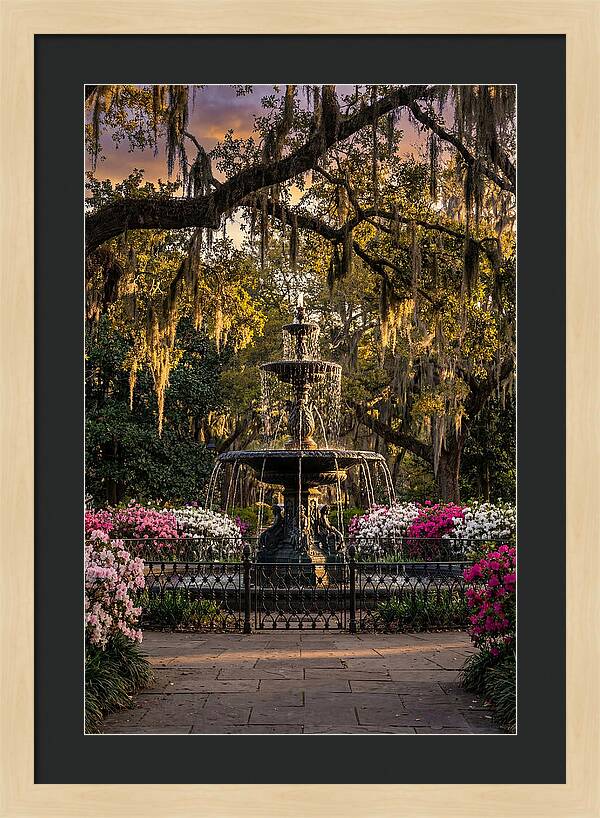 Forsyth Park Fountain At Golden Hour