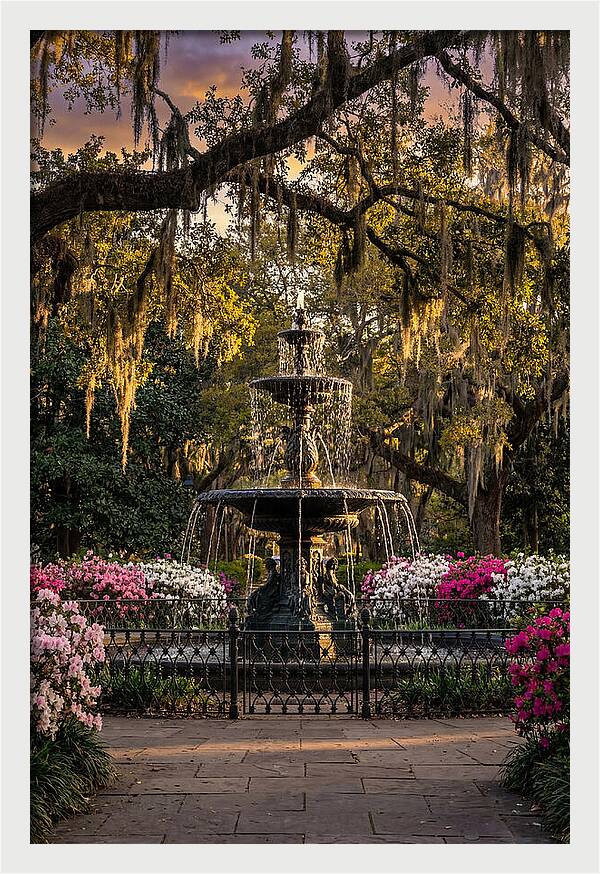 Forsyth Park Fountain At Golden Hour