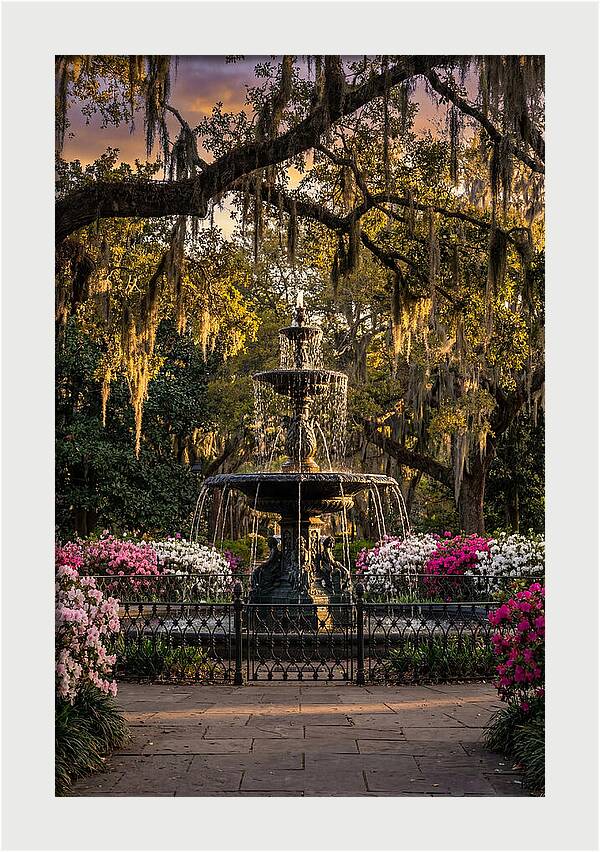Forsyth Park Fountain At Golden Hour