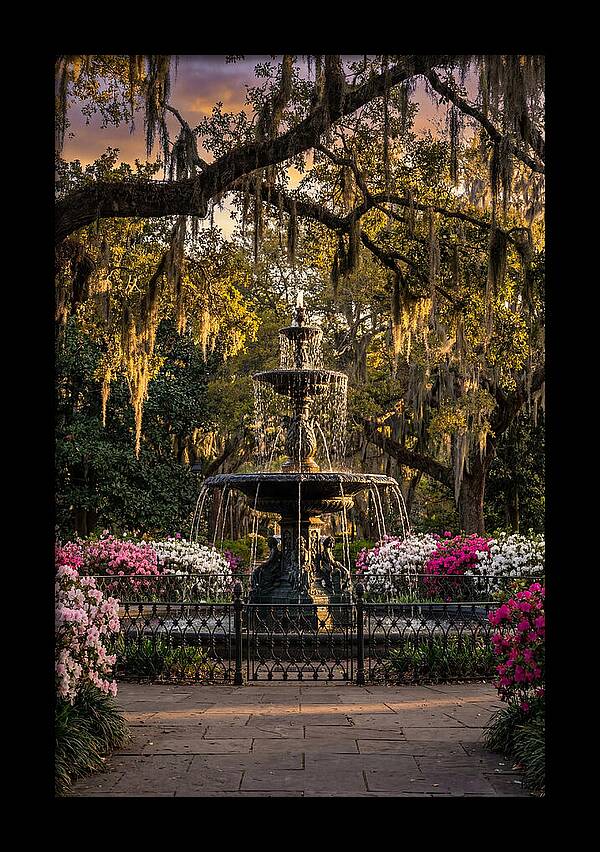 Forsyth Park Fountain At Golden Hour
