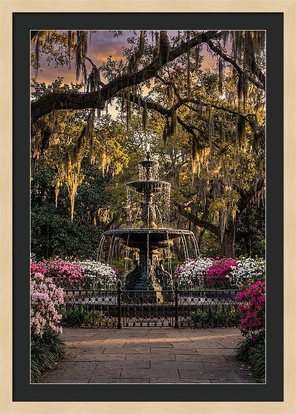Forsyth Park Fountain At Golden Hour
